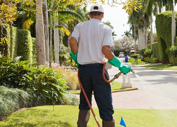 About Anaconda MT Pest Control